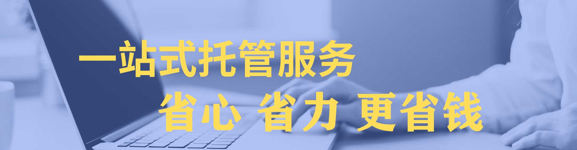 鸡冠sem竞价员